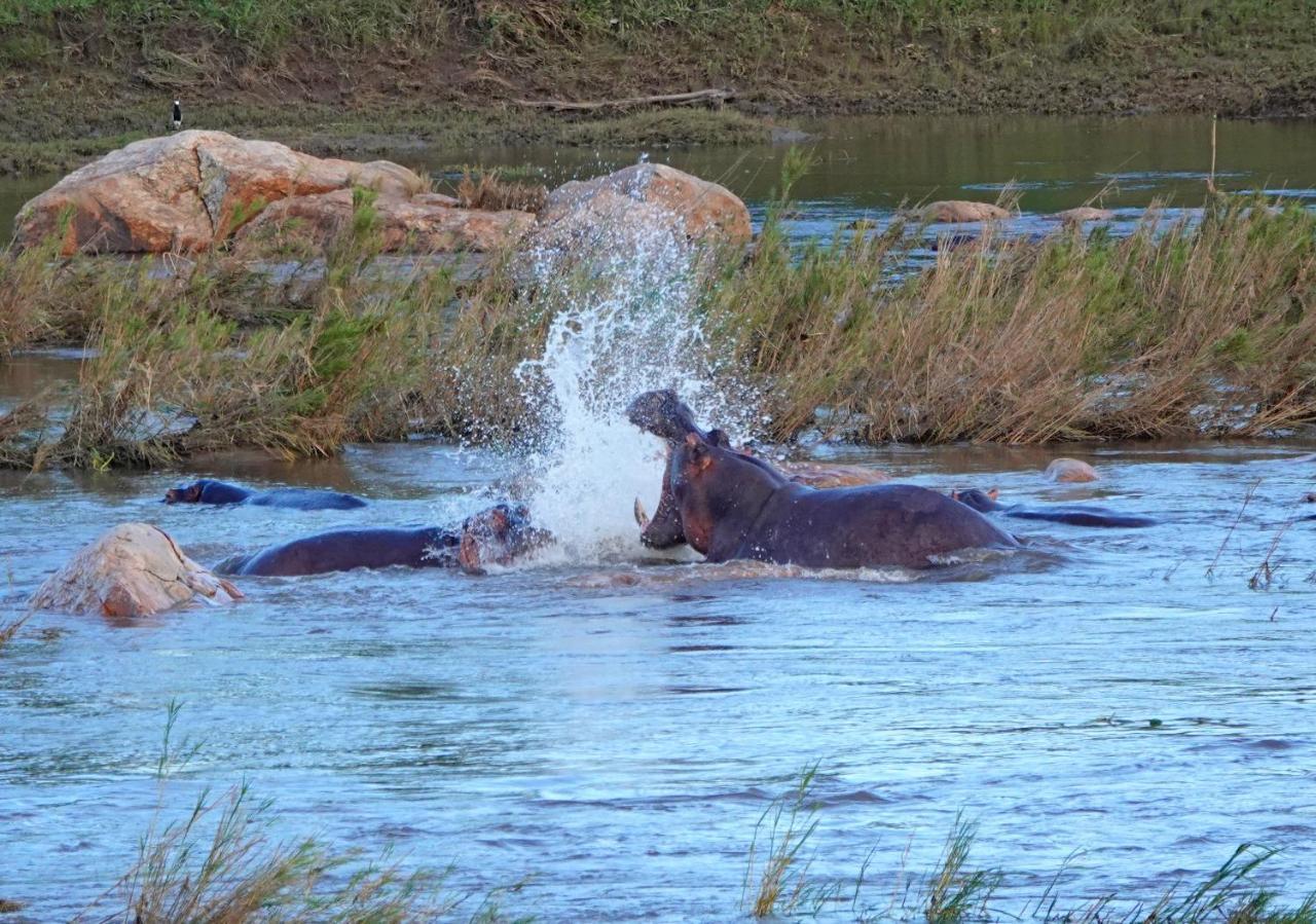 Kruger River Holiday Home マールロス・パーク エクステリア 写真
