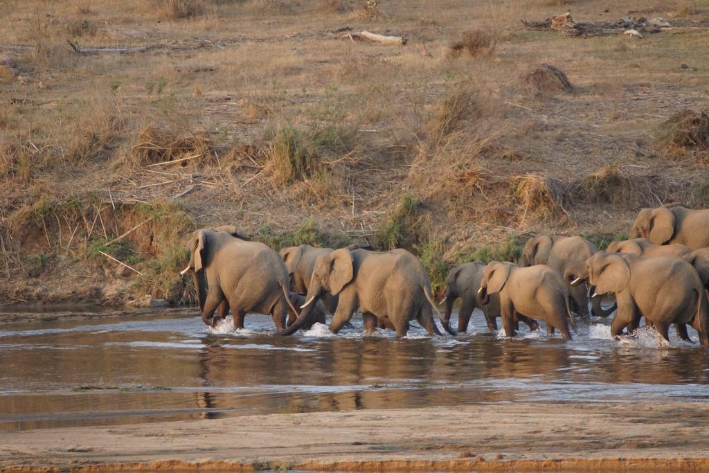 Kruger River Holiday Home マールロス・パーク エクステリア 写真