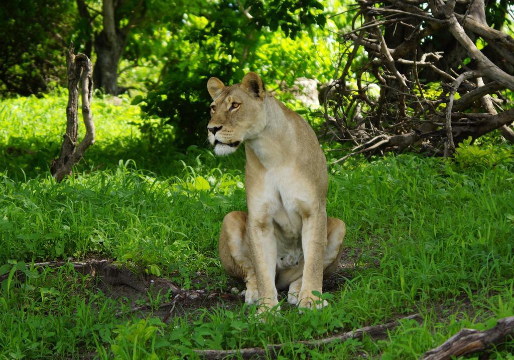 Kruger River Holiday Home マールロス・パーク エクステリア 写真