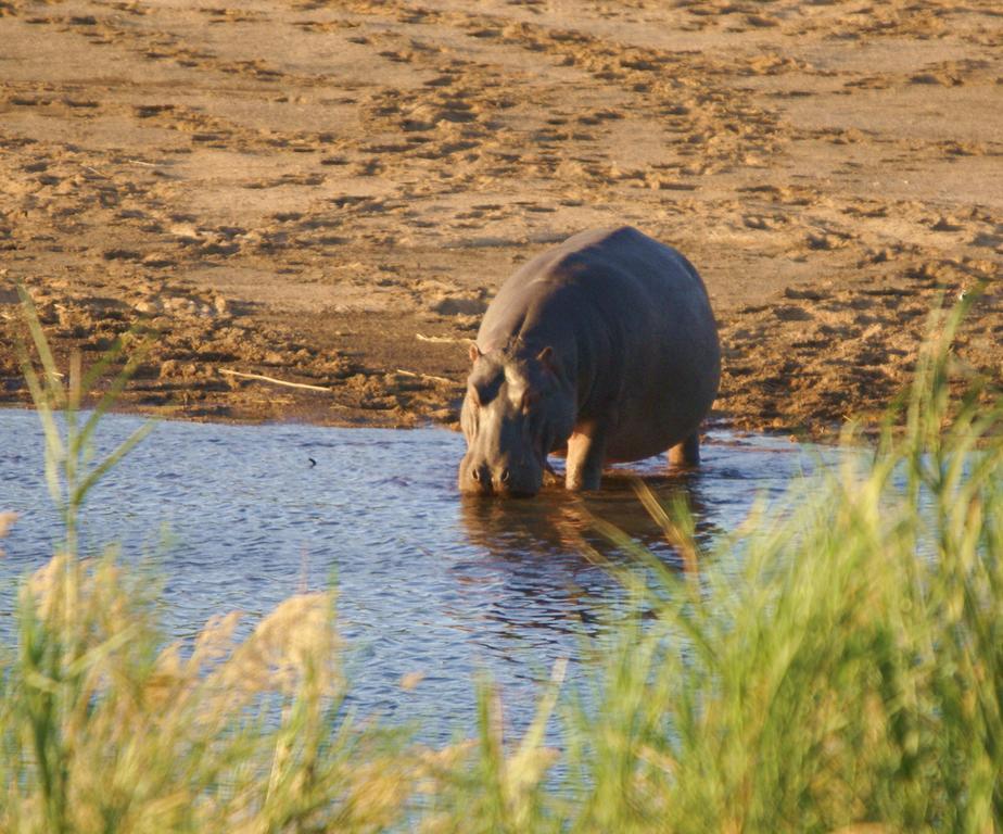 Kruger River Holiday Home マールロス・パーク エクステリア 写真